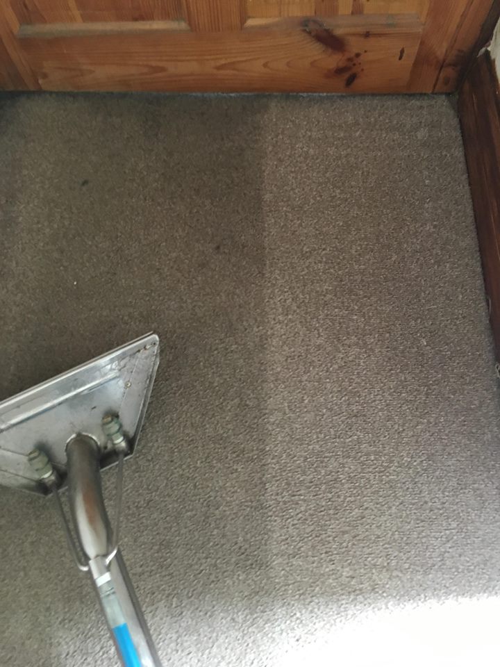 Cleaner: Image 2